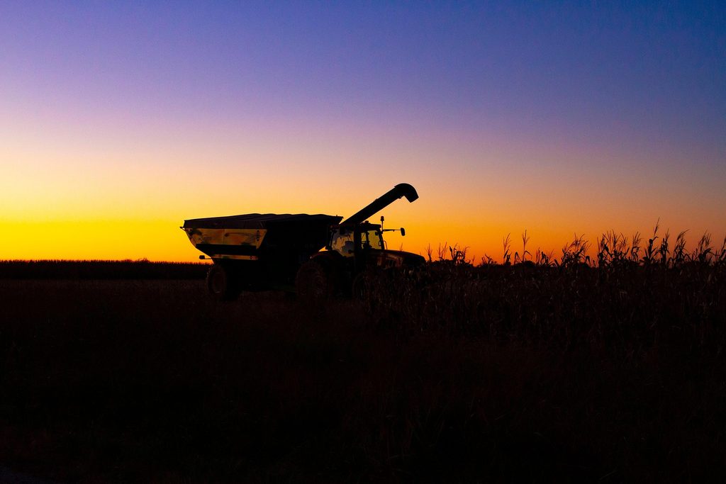 tractor pe camp 2026 recolteaza porumb si aplica ingrasaminte